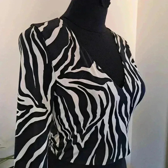 ❤️ Revamped Long Sleeved Cropped Animal  Print Top - Picture 5 of 10